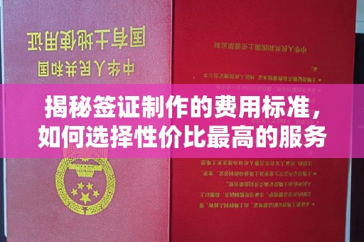 图们揭秘签证制作的费用标准，如何选择性价比最高的服务？