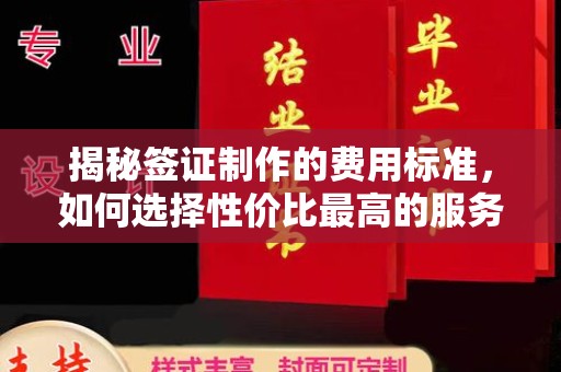 图们揭秘签证制作的费用标准，如何选择性价比最高的服务？
