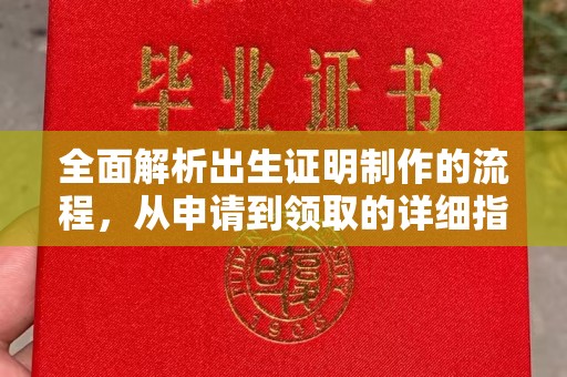 图们全面解析出生证明制作的流程，从申请到领取的详细指南