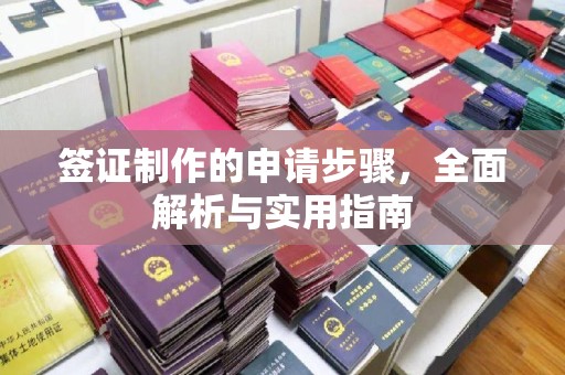 图们签证制作的申请步骤，全面解析与实用指南