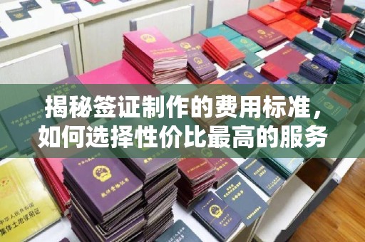 图们揭秘签证制作的费用标准，如何选择性价比最高的服务？