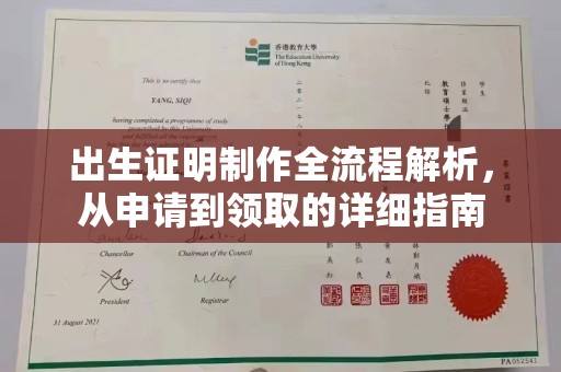 图们出生证明制作全流程解析，从申请到领取的详细指南